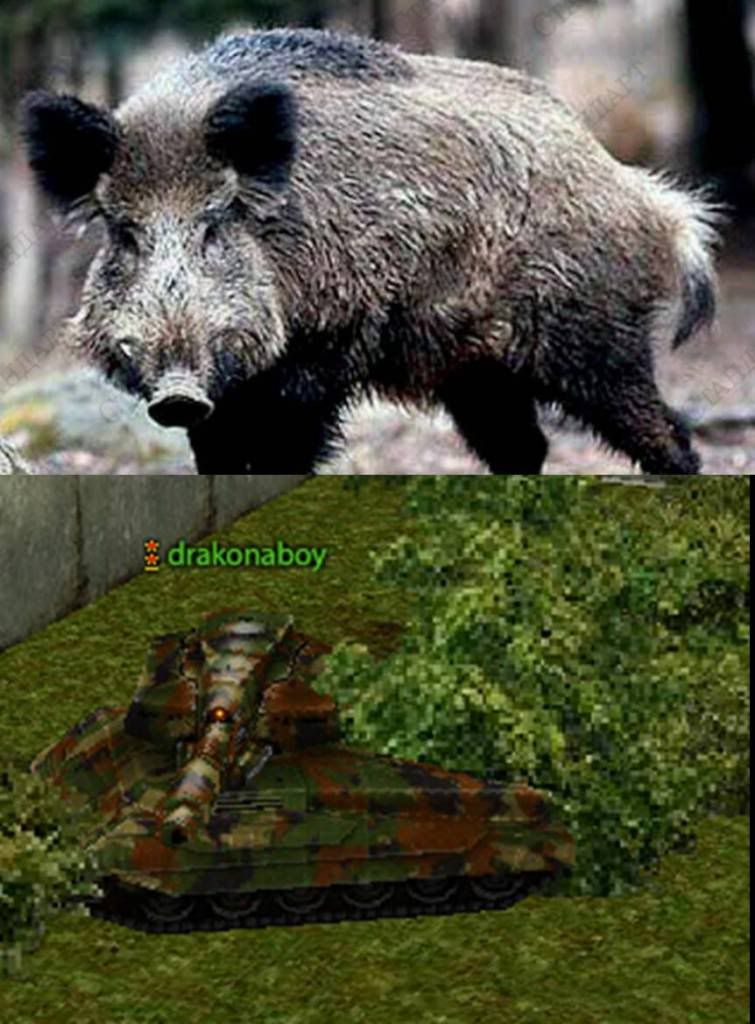 ok.jpg