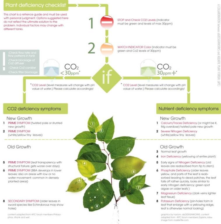 Plant Deficiency Chart