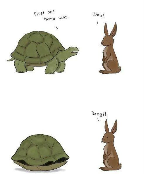 rabbitandtortoise.jpg