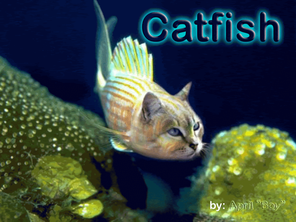 photo catfish.gif