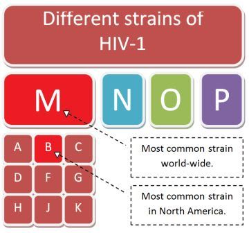 HIV-1 Strains