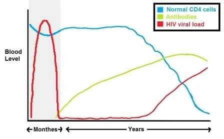 HIV Stage 1