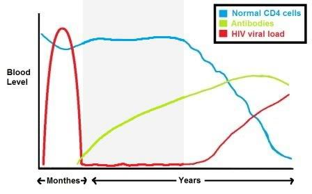 HIV Stage 2