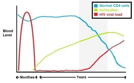 HIV Stage 3
