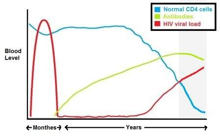HIV Stage 4