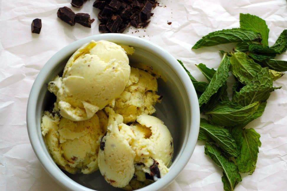 Mint chocolate chip ice cream recipe