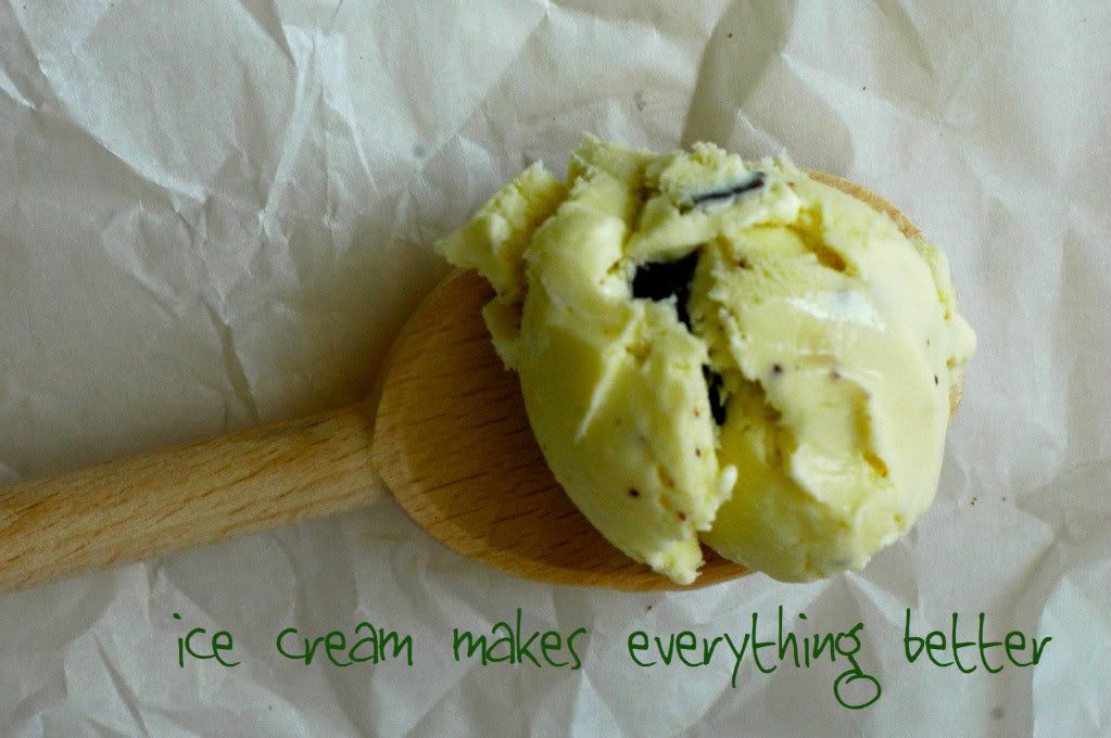mint chocolate chip ice cream on a wooden spoon