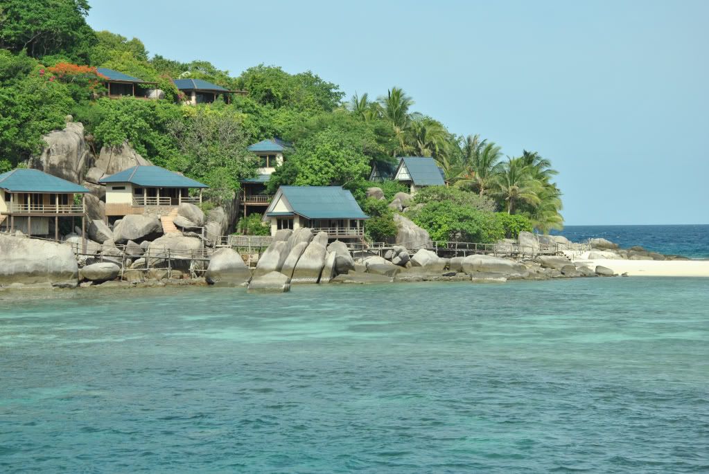 Куда поехать отдыхать в Тай (насекомые)