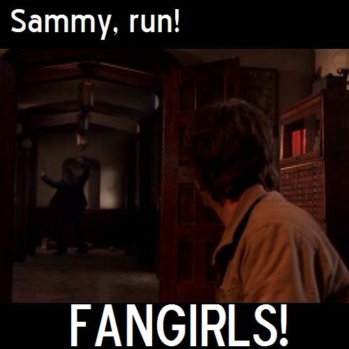 winchester winchester