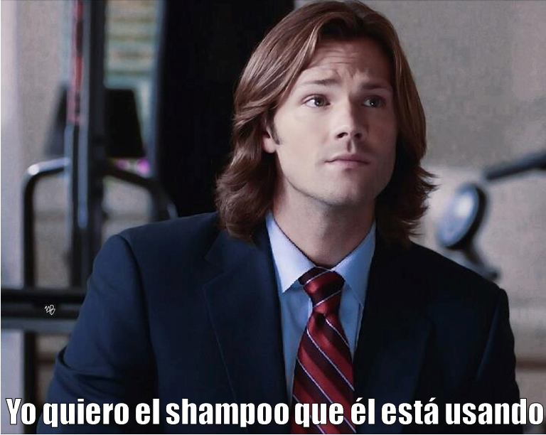 winchester winchester