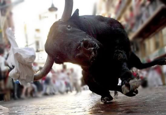 don't mess wiff da bull photo Bull-1-1_zpsad2f4268.jpg