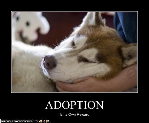  photo AdoptionIzItsOwnReward_zps0fc6caa0.jpg