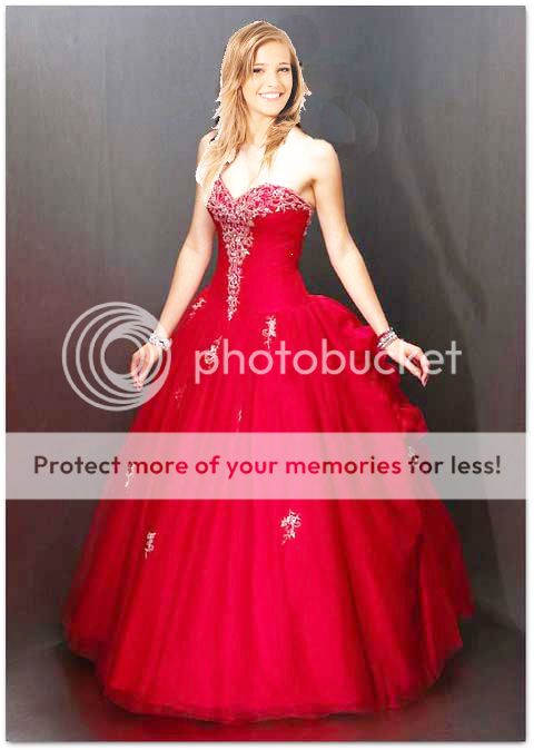Alyce_Quinceanera_Gown_9008_201120280lu