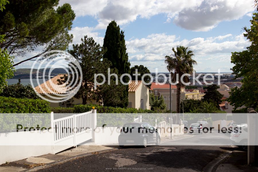 photo IMG_9304_zpscpplgq0m.jpg