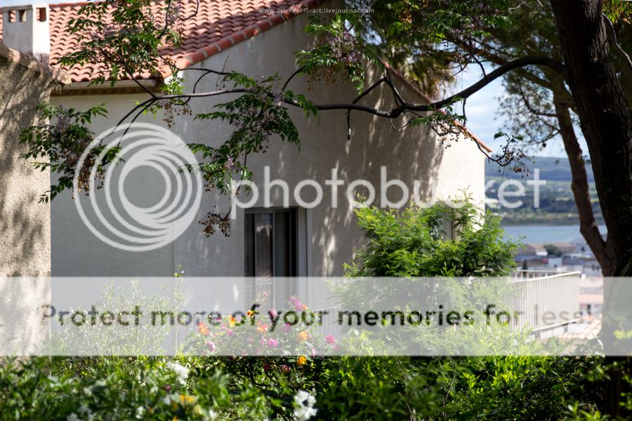 photo IMG_9308_zpsvgdk4mrk.jpg