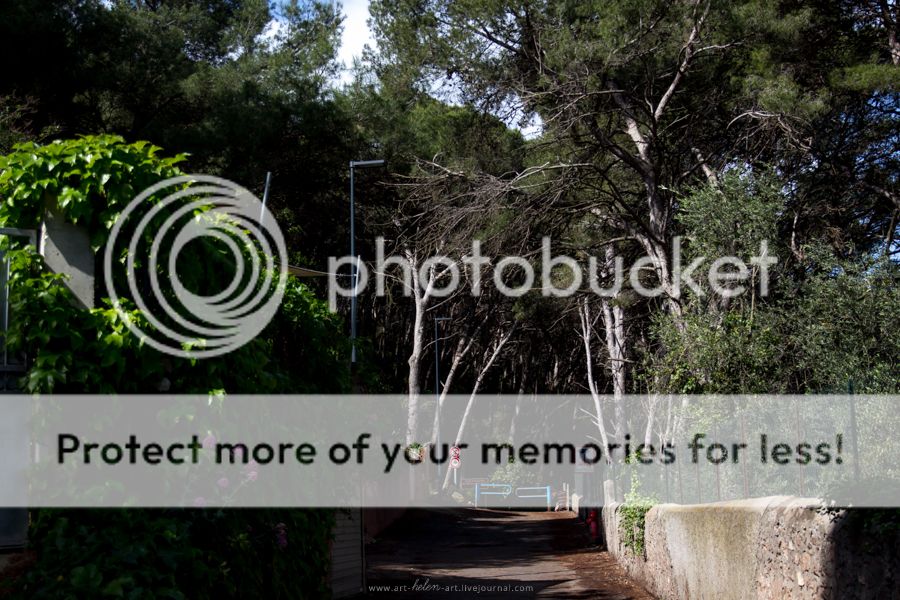 photo IMG_9309_zpsve4q1ftj.jpg