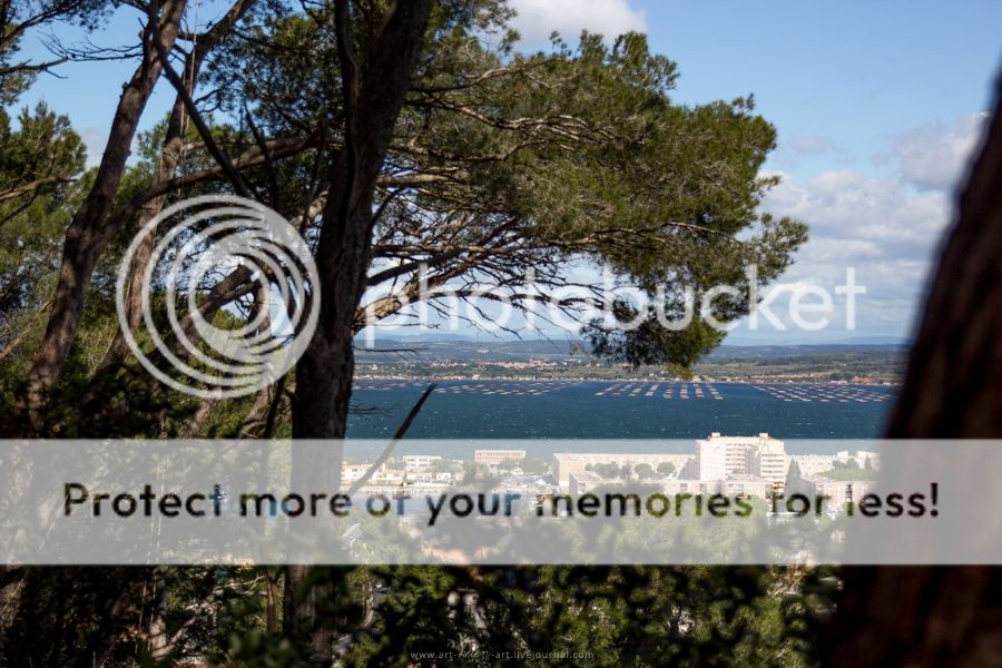 photo IMG_9312_zpsfgtc14yj.jpg