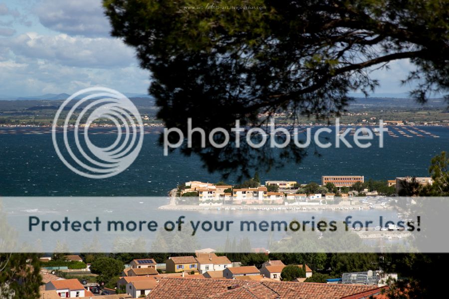 photo IMG_9313_zpsaz7l35sf.jpg