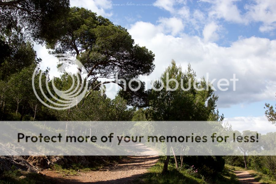 photo IMG_9315_zpsprj3mbxr.jpg