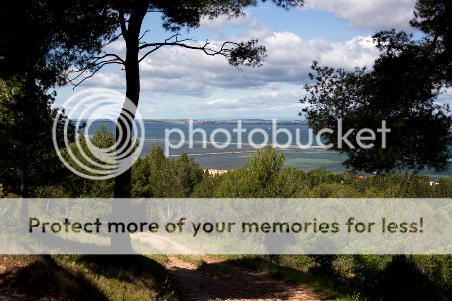 photo IMG_9316_zpsgdl0vsdr.jpg