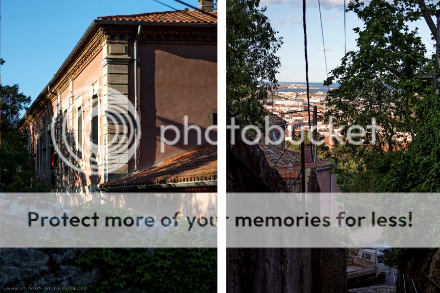 photo IMG_9373_2_zpsyqtg0cfm.jpg