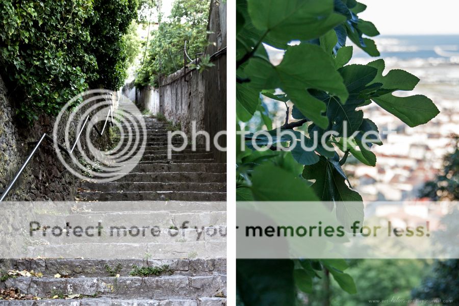 photo IMG_9378_2_zpslhmyug04.jpg