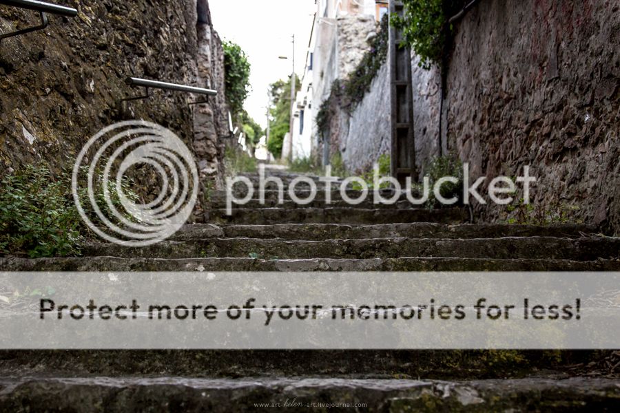 photo IMG_9381_zps2i31ndzl.jpg