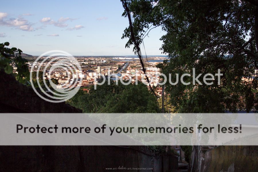 photo IMG_9382_zpspdwq5wtk.jpg