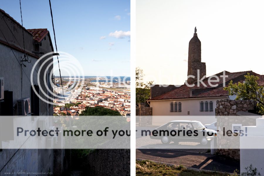 photo IMG_9383_2_zps0tbagapg.jpg