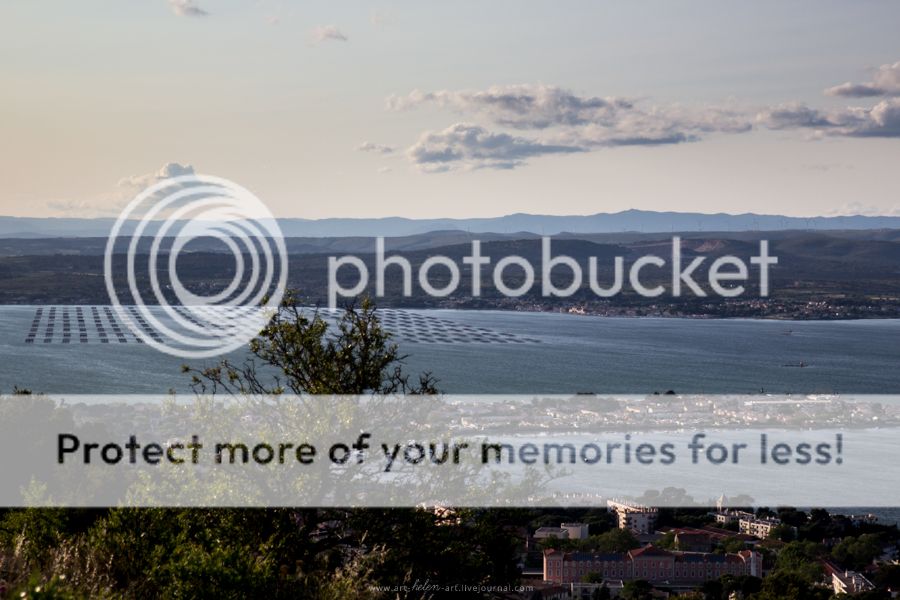 photo IMG_9393_zps3n0pptot.jpg