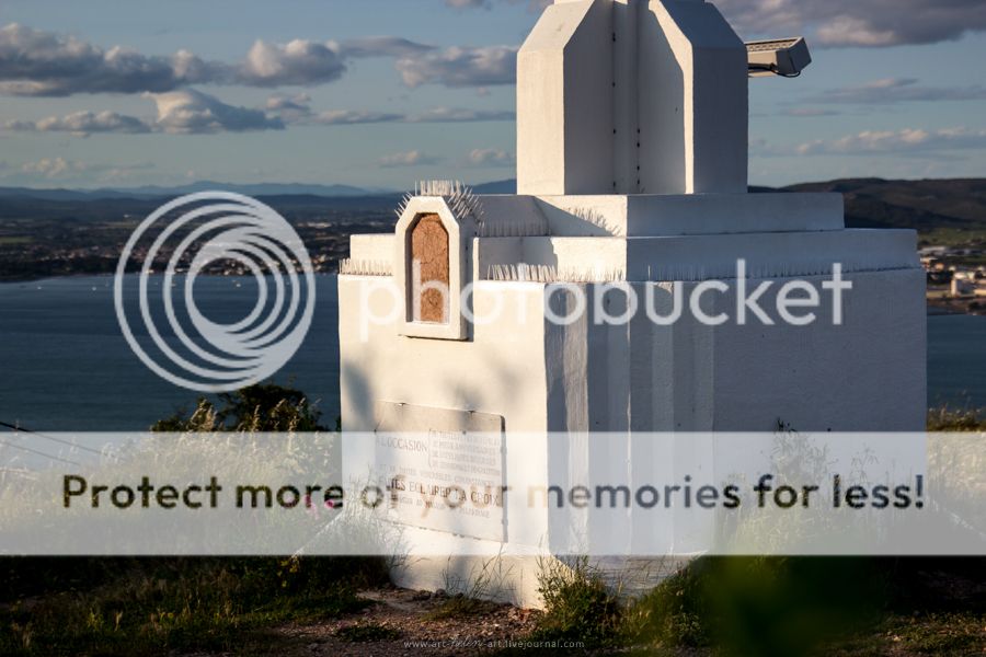 photo IMG_9398_zpswwb0o1gs.jpg