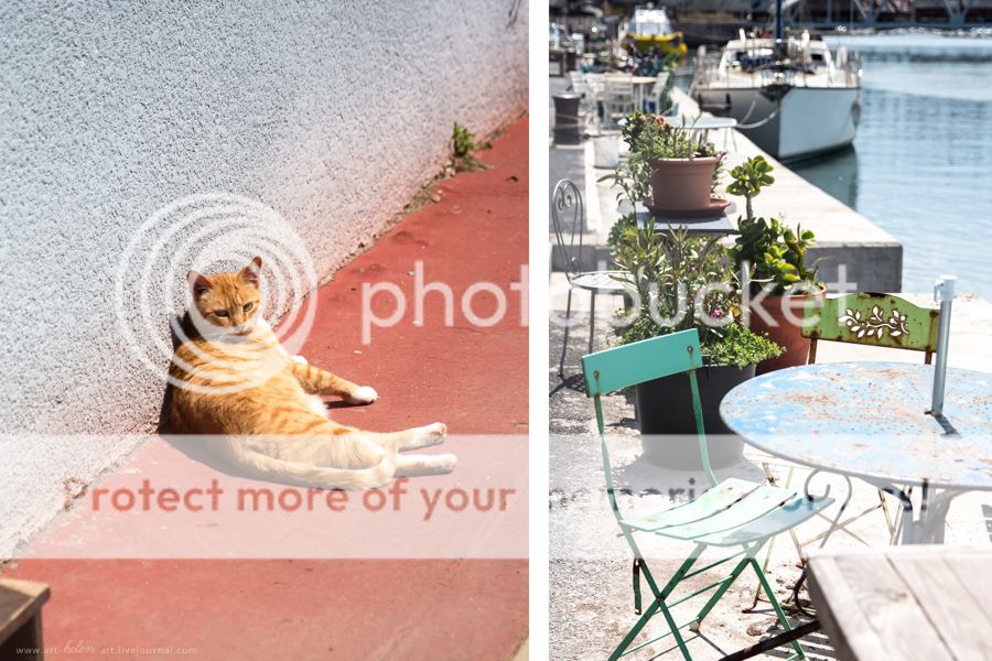 photo IMG_9435_2_zpsvu3wwkre.jpg