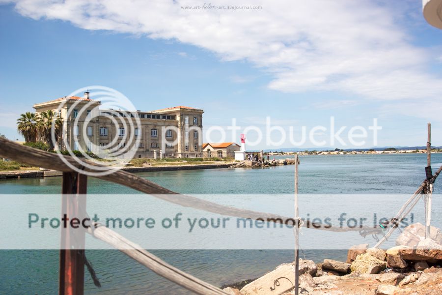 photo IMG_9442_zpsoirnilti.jpg