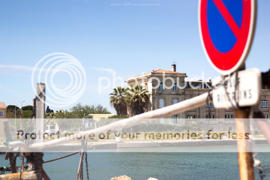 photo IMG_9444_zpsaazcsr5f.jpg