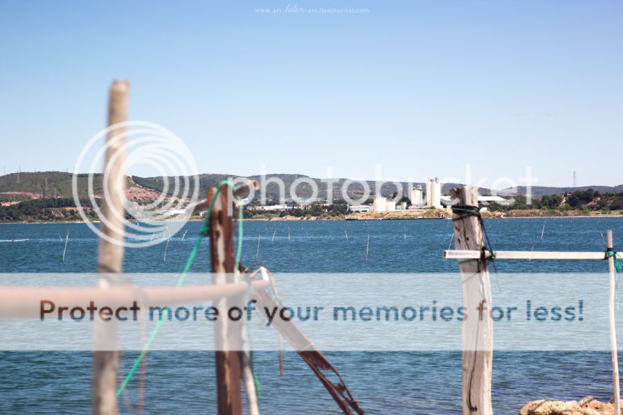 photo IMG_9445_zpsa4telti7.jpg