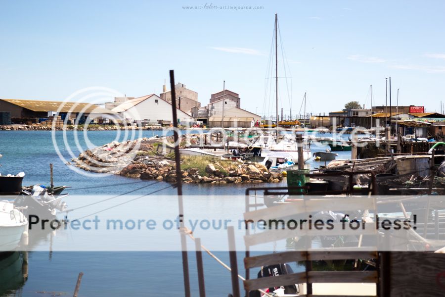 photo IMG_9446_zpsy0vcz0zf.jpg