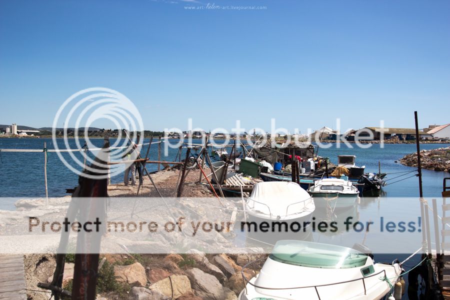 photo IMG_9447_zpsqcfjfujw.jpg