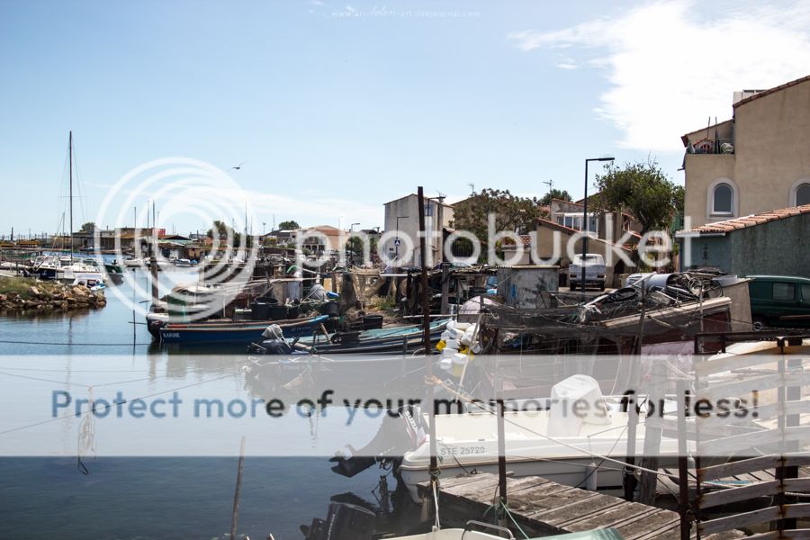 photo IMG_9448_zpswr6mtn3h.jpg