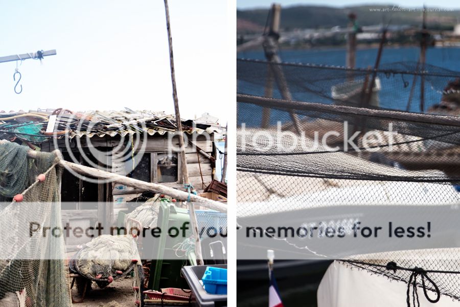 photo IMG_9451_2_zpszkmgl6ca.jpg