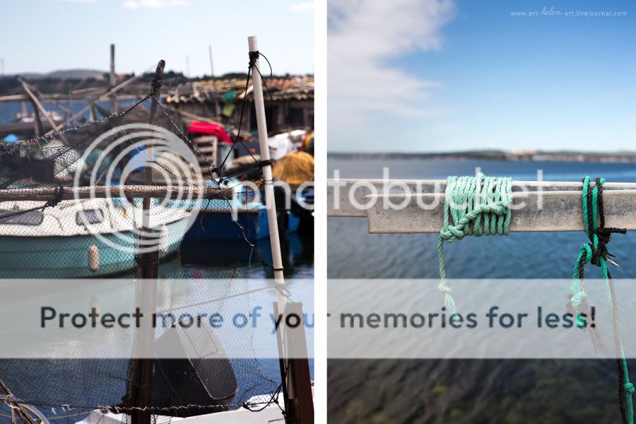 photo IMG_9452_2_zpsv2fioe8j.jpg