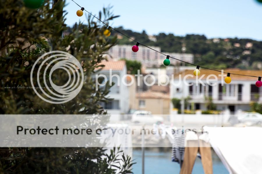 photo IMG_9458_zpsmcl1ftvb.jpg