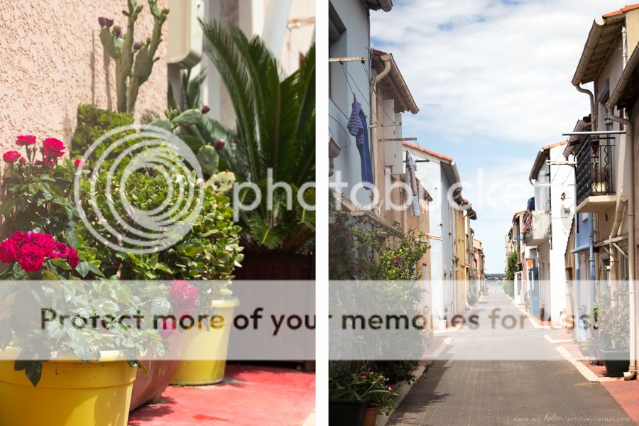 photo IMG_9461_2_zpspzbwmm5o.jpg