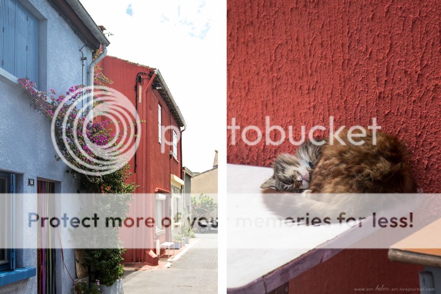 photo IMG_9462_2_zpsqpk4gxjt.jpg