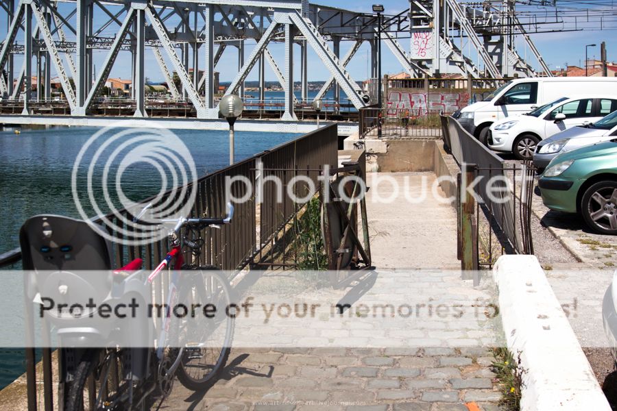 photo IMG_9469_zpsq2voctc2.jpg