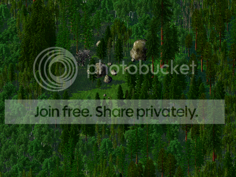 North-DenseWoods.png