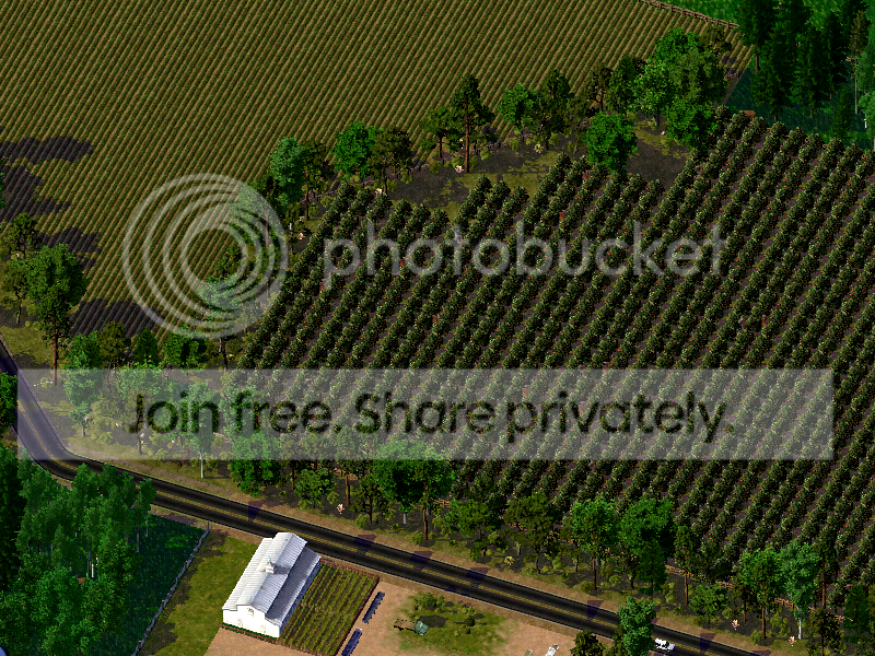 West-MainRoadFields.png