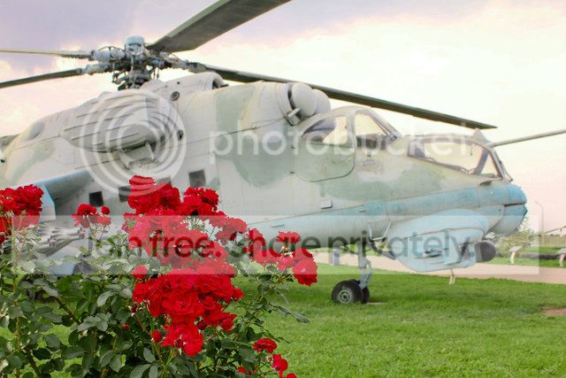 bbIMG_1535