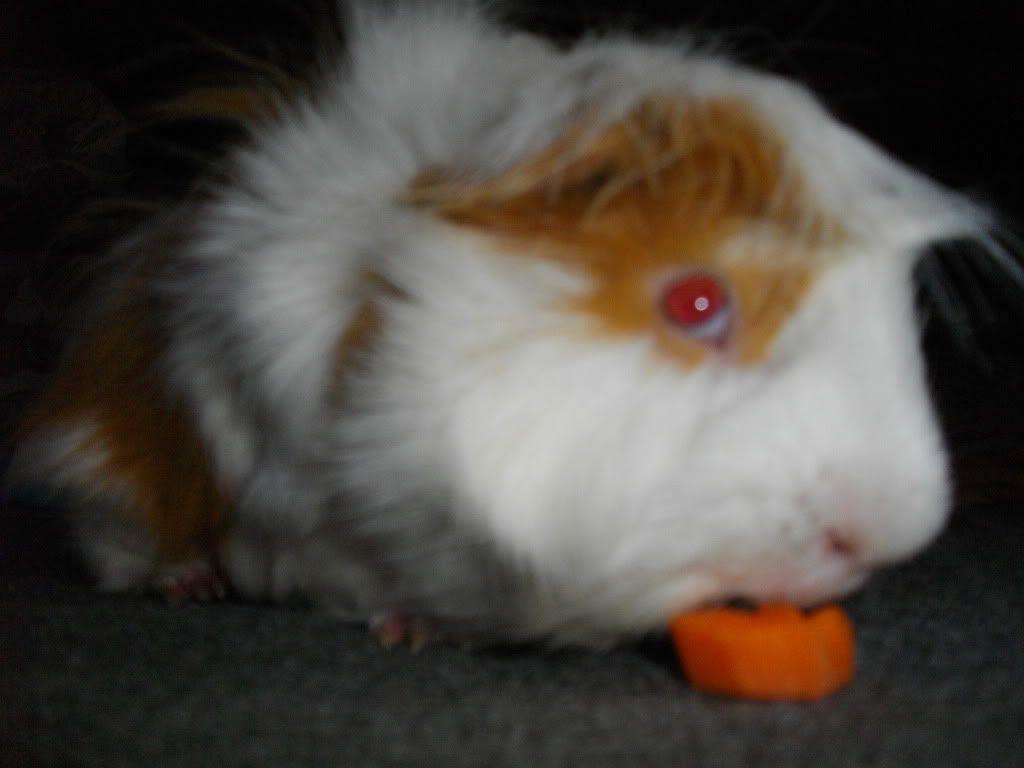 IMGP0329.jpg